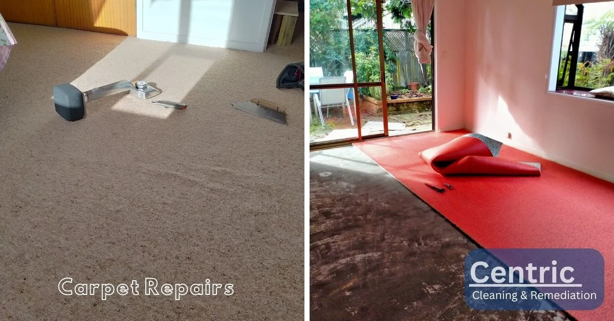 Carpet Repairs Auckland